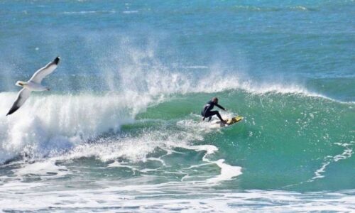 surf 1 surf 1